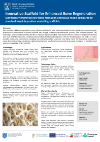 Innovative Scaffold for Enhanced Bone Regeneration front page preview
                    