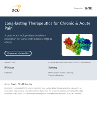 Long-lasting Therapeutics for Chronic and Acute Pain front page preview
                    