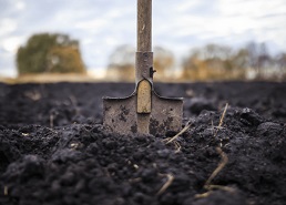 MicroGen Biotech raises €3.47m to reduce heavy metals in soil